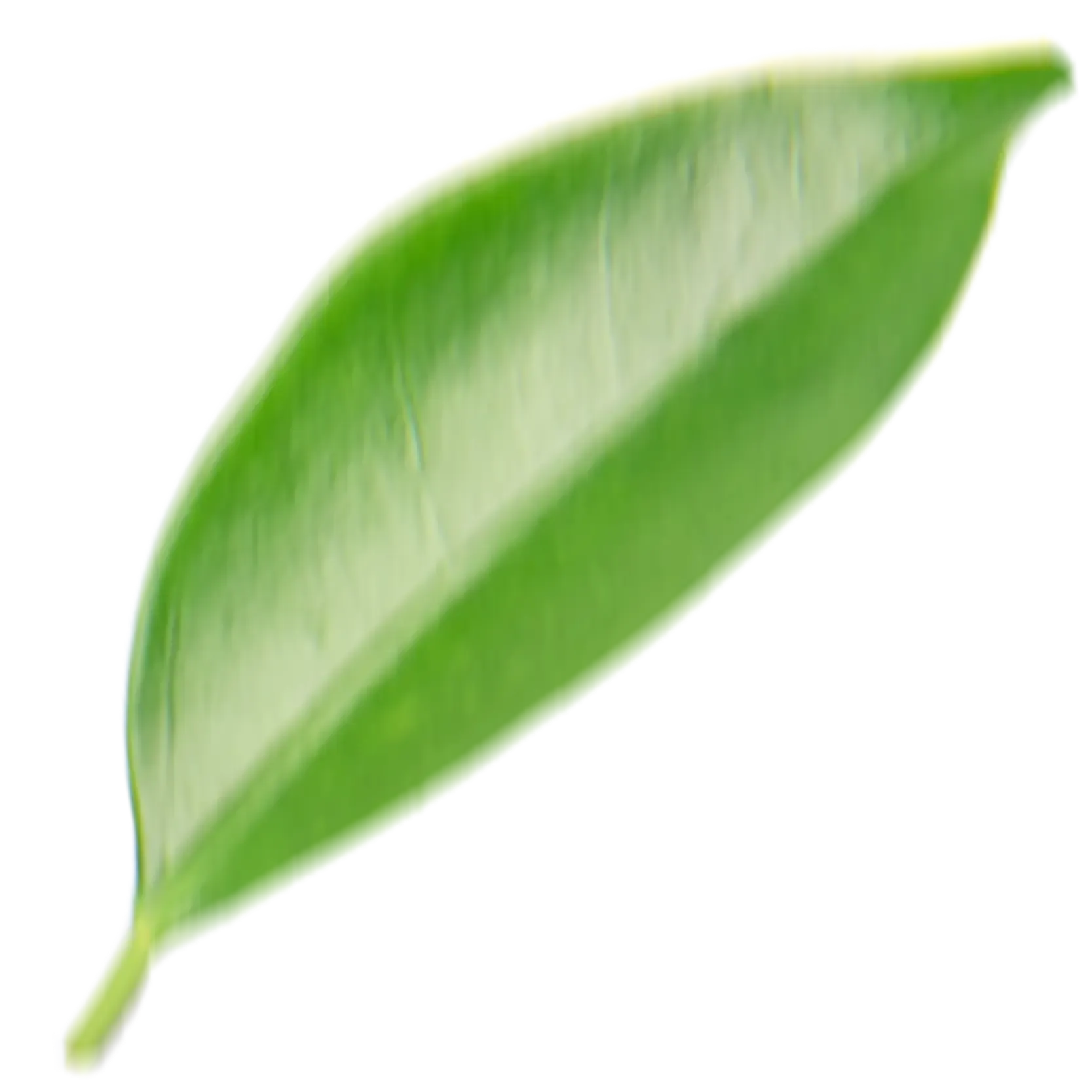 UNAG Logo