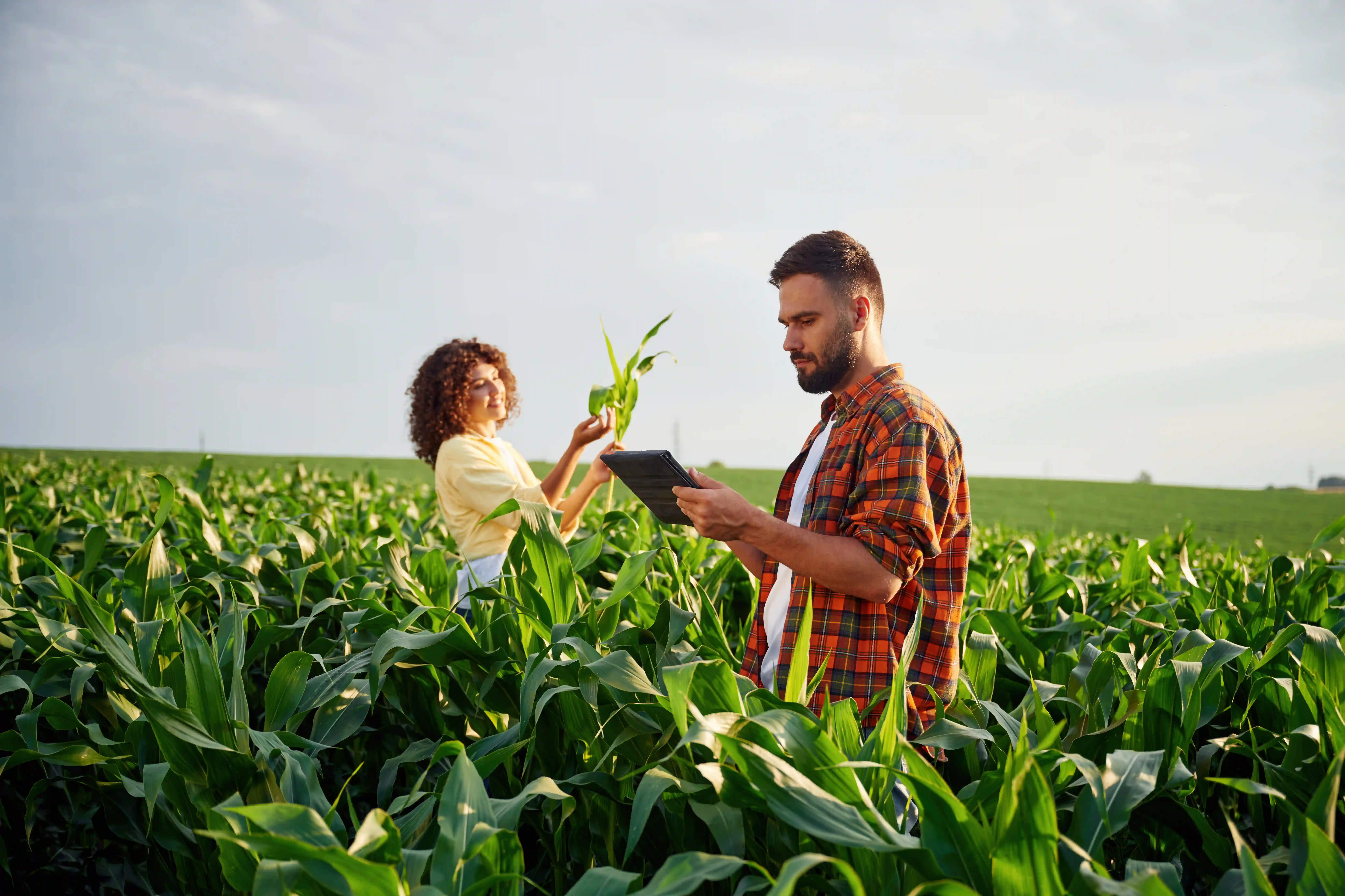 Ingeniería Agronómica