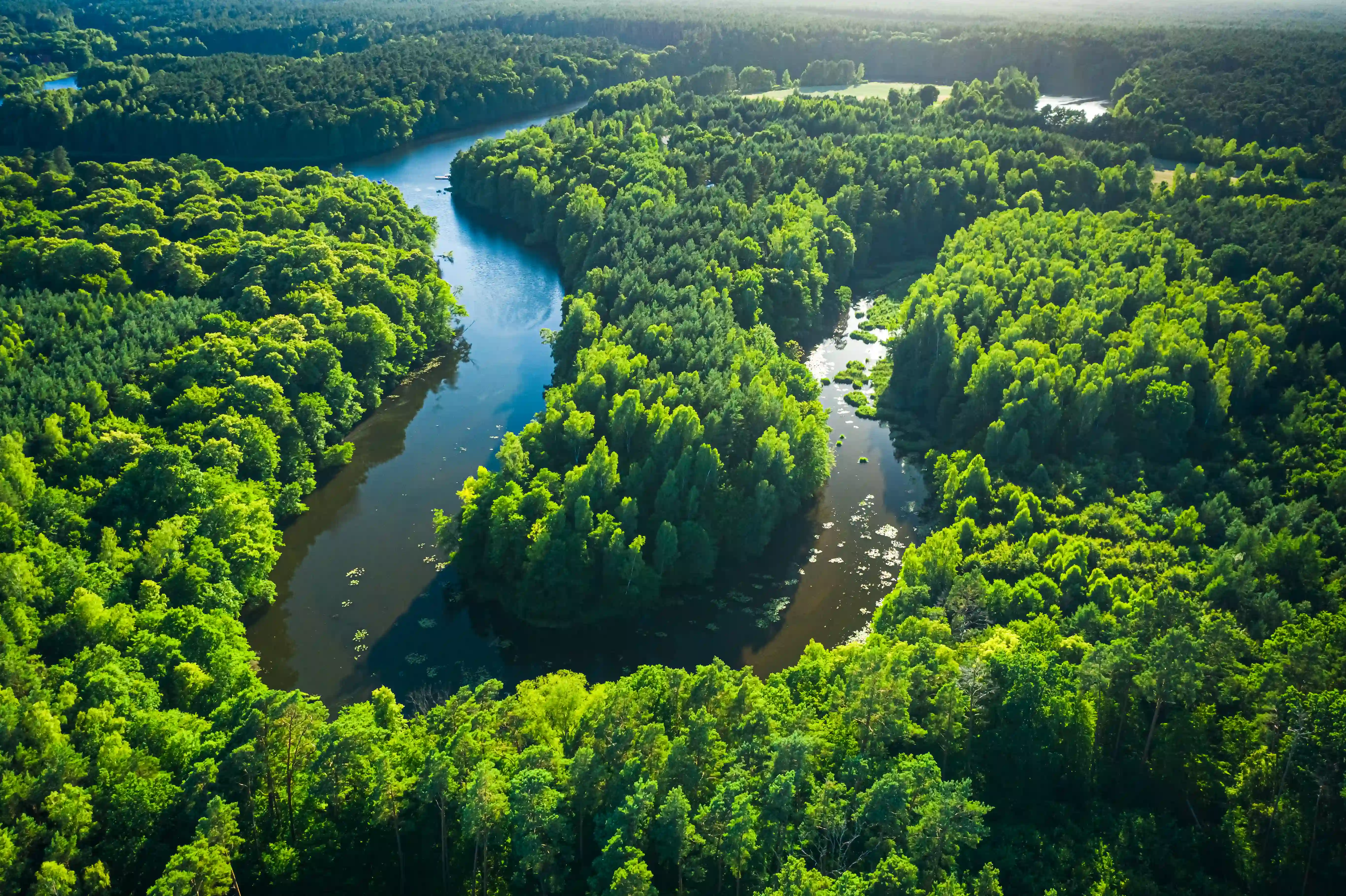 Ingeniería en Gestión Integral de los Recursos Naturales