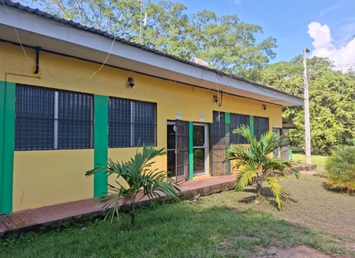 Departamento Académico de Alimentos